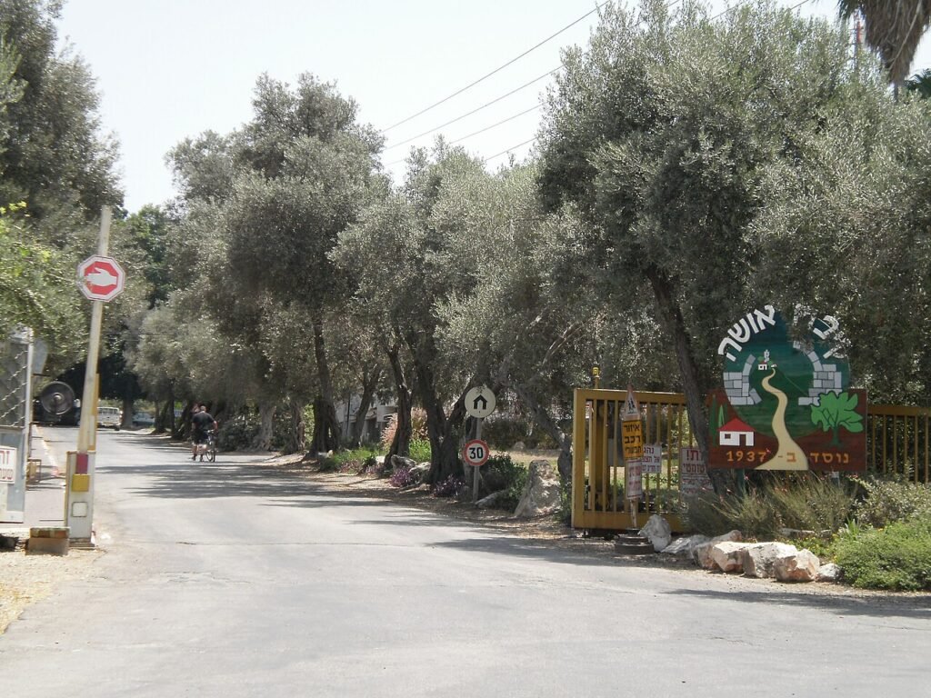 מבט כללי על כפר אושה באזור הצפון