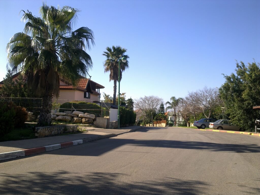 רחוב מגורים שקט ומטופח, שלאורכו ניצבים בתי קרקע נאים מוקפים בעצי דקל גבוהים וצמחייה עשירה.